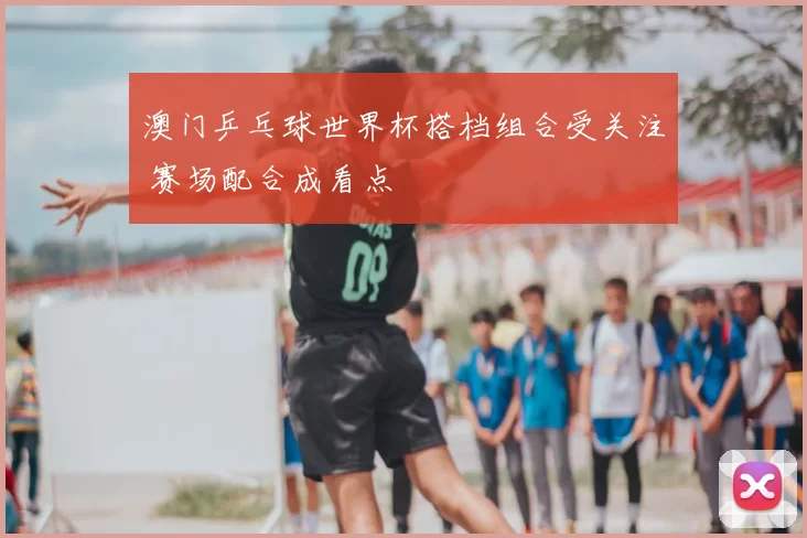 澳门乒乓球世界杯搭档组合受关注 赛场配合成看点